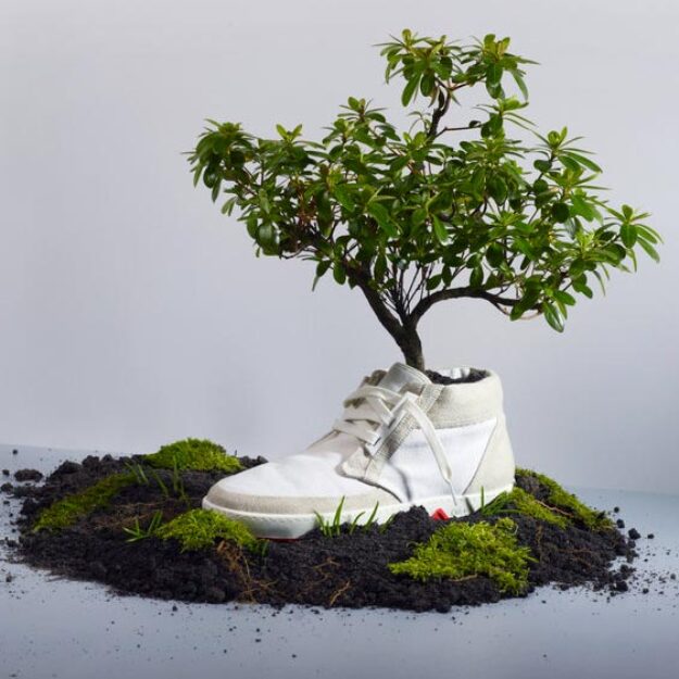 GreenSole